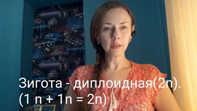 Гаметофит и спорофит мохообразных. Размножение мохообразных. смотреть онлайн