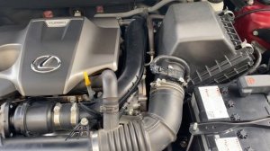 Lexus NX 200T 8AR-FTS Engine Cold Start