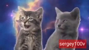 песни которые поют коты и котята (оно было удалено)