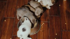 Увидев это в лесу, мужчина потерял дар речи! В это невозможно поверить!