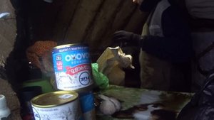 17 дней в тайге в глухозимье. Закрытие пушного сезона. Часть 2