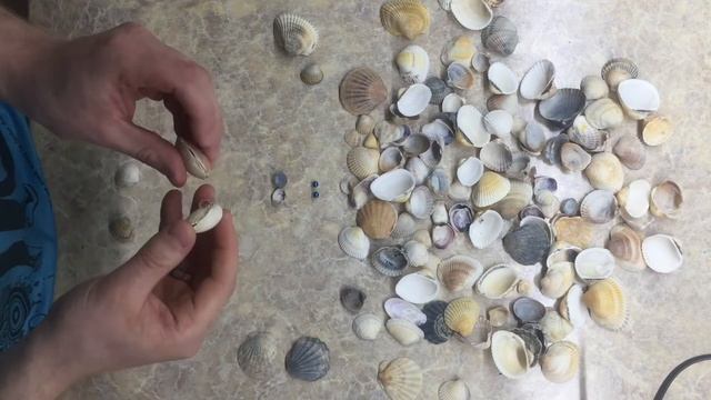 поделки из #ракушек // обязательно привезите с моря ракушки