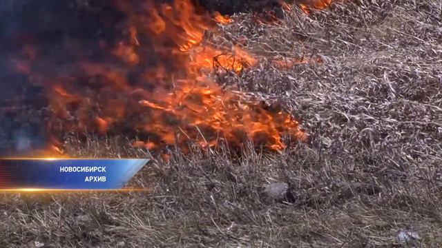 В МЧС ожидают начала лесных пожаров во второй декаде апреля смотреть онлайн