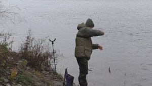 Ловля Судака на живца. Рыбалка на резинку поздней осенью. Рыбалка в Воронежской области.