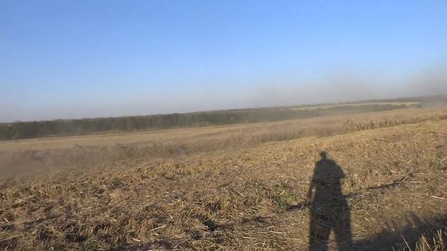 Вектор на полеглой яровой пшенице (28.08.2016) смотреть онлайн