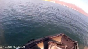 Лодка Mercury 2.7 м  мотор Mercury 5 л.с