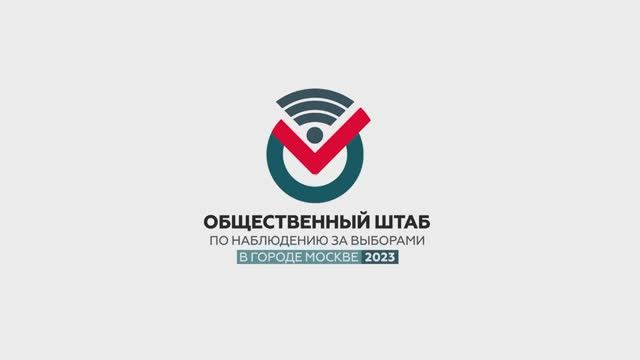 Все системы готовы к голосованию в Москве – Общественный штаб