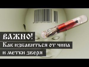 ВАЖНО! Как избавиться от чипа и метки зверя. Часть 3.