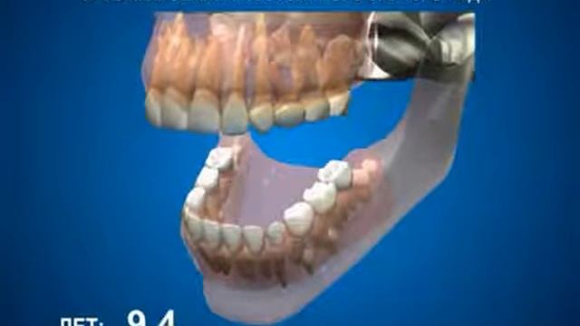 прорезывание зубов у детей смотреть онлайн