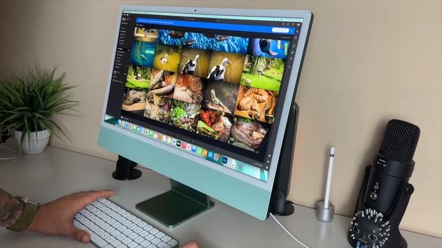 NEW 2023 24" M3 Apple iMac (GREEN) - Unboxing, Review & Tour | Best Value PC on the Market?