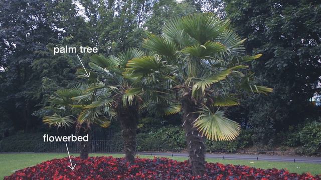 Maria enjoys St Stephen's Green in Dublin – On the go with EF #74 смотреть онлайн