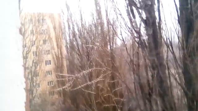 Сосульки На  деревьях