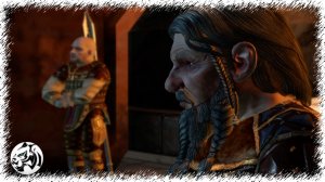 Dragon Age: Origins. Разбойник #54. Коронация