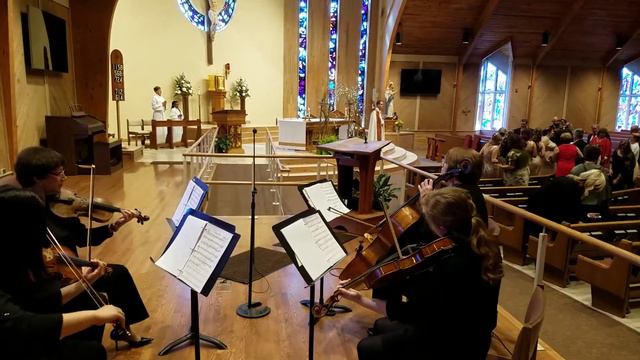 Couple's Presentation смотреть онлайн