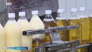 Силовики провели обыски на пивзаводе в Ставропольском крае