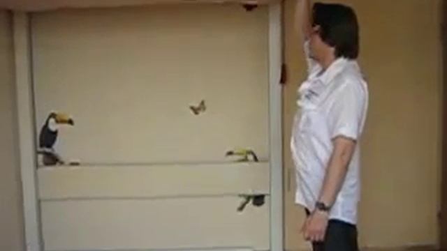 Подъемная кровать 2 смотреть онлайн