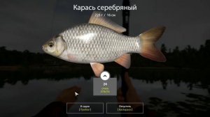 рыбалка 2019. карась.Russian Fishing 4
