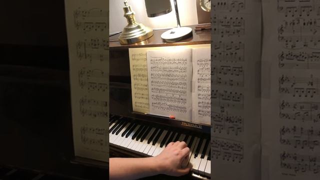 Beethoven Sonata op.13 Pathétique I- 4 Соната 8 Патетическая_ пульс, артикуляция.mp4