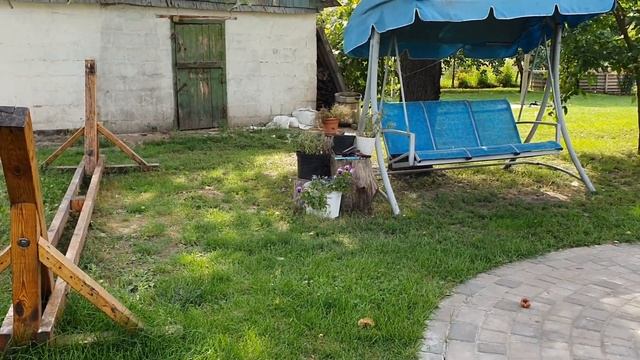 ОБЗОР НАШЕГО УЧАСТКА. Что планируем сделать.