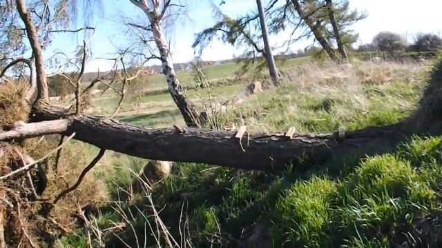 Kurrebrogård Langdysse смотреть онлайн