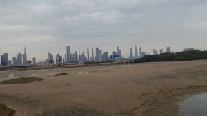 Ras Al Khor Dubai - Flamingos