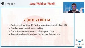 Przemysław Bruski: Who collects your garbage? | Java Webinar Week