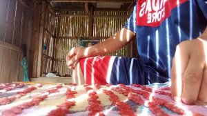 GAANO KAIMPORTANTE ANG SEEDS O SEED PREPARATION SA ATING MGA FARMERS || BEGINNERS' GUIDE
