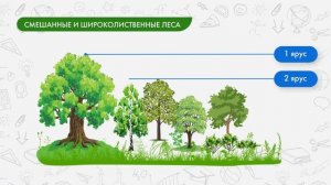 Флора и фауна природных зон Земли