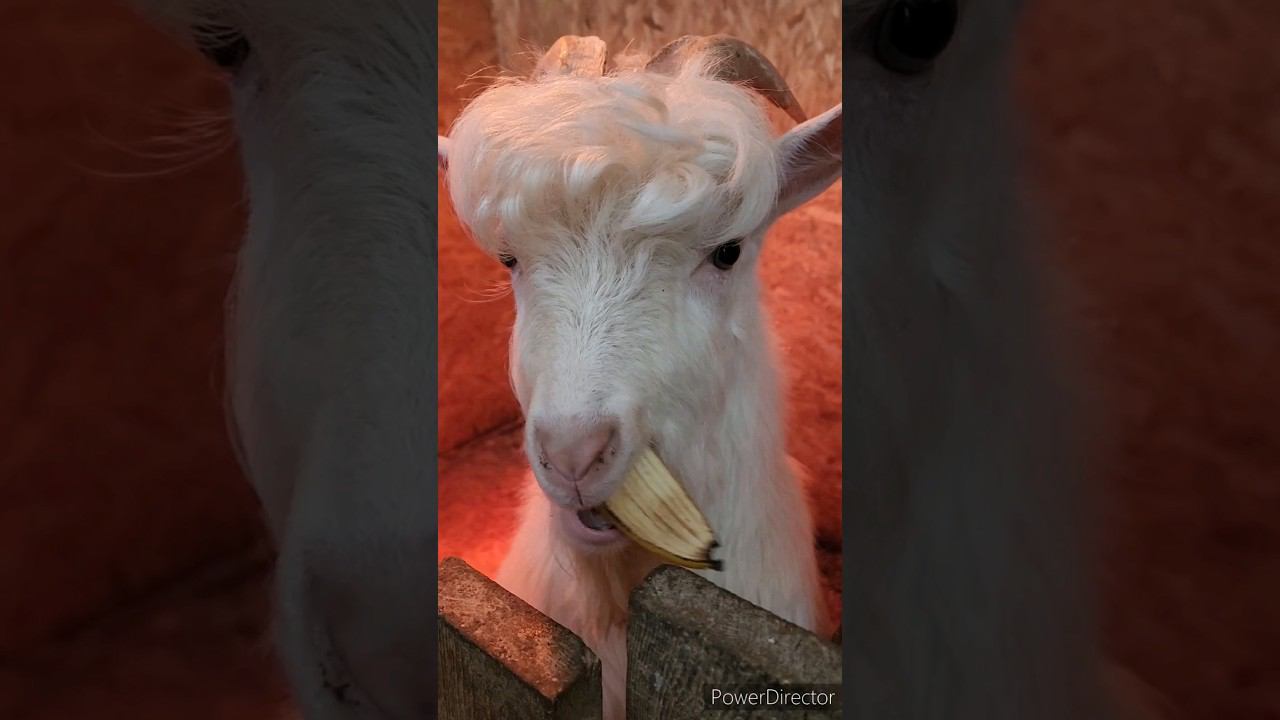 ВКУСНЫХ вам выходных!