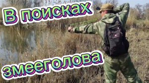 В Поисках Змееголова (Охота с Рогаткой)