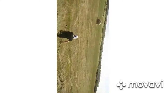 Сенокос 2020 уборке сена МТЗ 80 грабли гвк 6 #2 смотреть онлайн