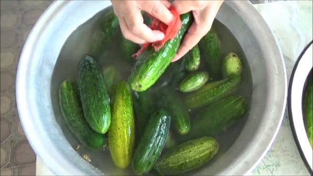 Как помыть огурцы что-бы не уколоться. Быстро моим огурцы от грязи и шипов