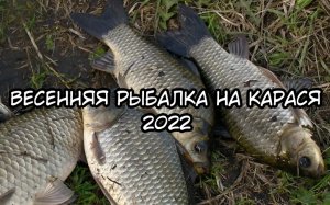 Весенняя рыбалка 2022. Вот это Кораси!! Рыбалка на Корася