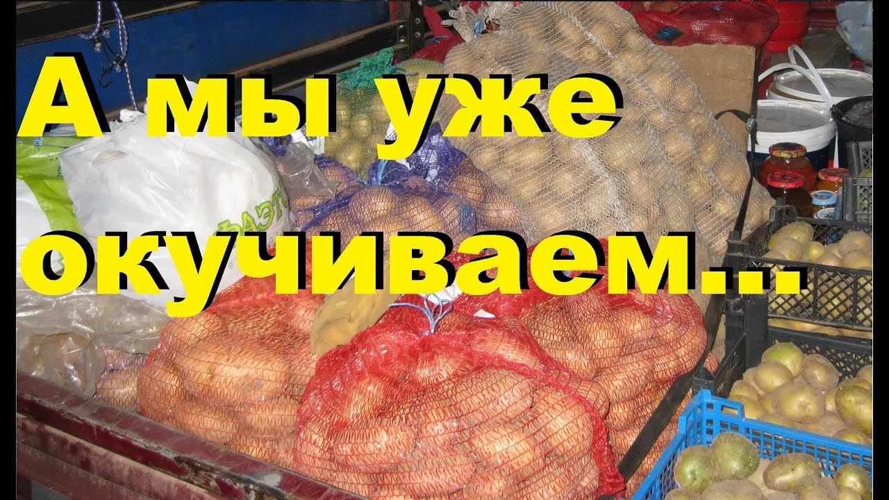 Окучивание картофеля