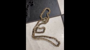 01314 Skoda #fault code