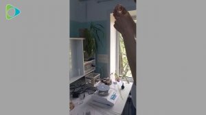 Важно правильно определить ХПК!