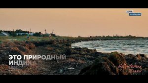 #КрымНеОчевидный: Портовое. Пляжи северного Крыма. Лебяжьи острова и множество птиц. Мед в сотах.