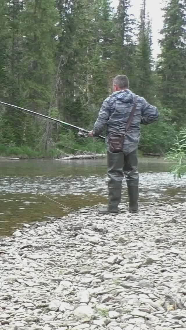 1194 Удочка Поплавок Тайга #дмитрийяков #рыбалка #тайга #fishing #hunting #выживалово #сибирь #лес