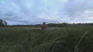 Открытие Охоты на Утку Осень 2022г