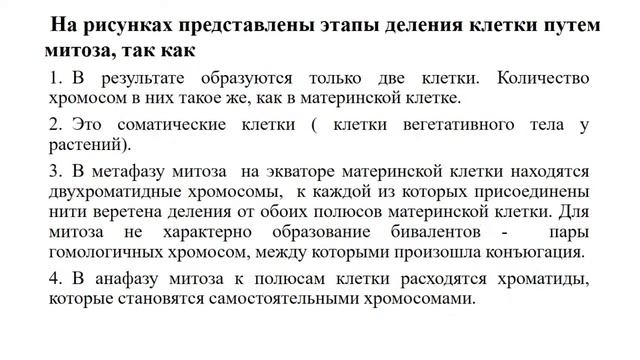 Консультация [Биология]