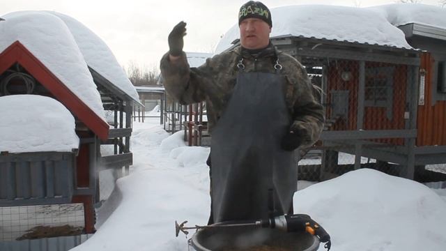 ЗИМНИЕ ВИТАМИНЫ ДЛЯ КУР.