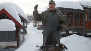 ЗИМНИЕ ВИТАМИНЫ ДЛЯ КУР.