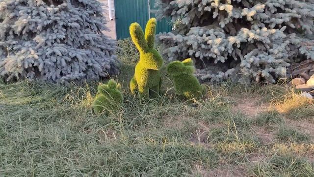 Оазис курортной обстановки в селе 2-е Засемье.