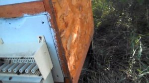 Рогатые улья из ОСБ в экслуатации и немного солнца:)