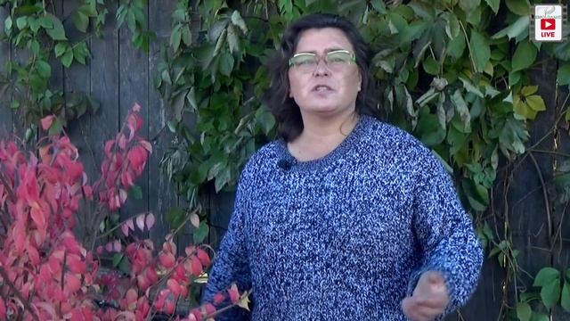 Малоизвестные клематисы.
