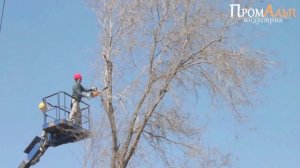 Обрезка веток с АГП