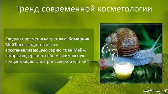 МейТан.Восстанавливающая серия "Ван Мей" с фильтратом секрета улитки смотреть онлайн