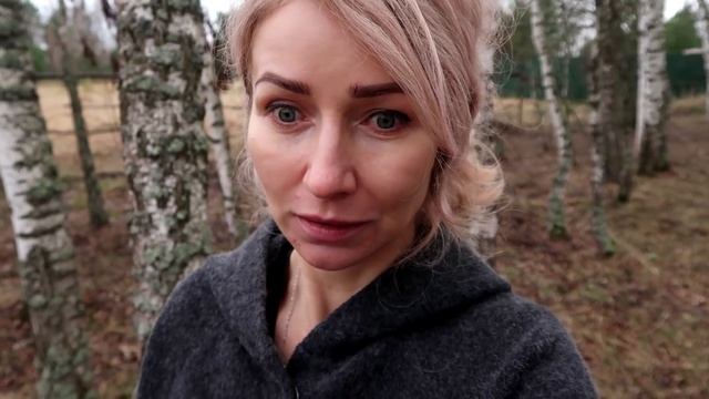 Дачный влог/ Покупки для дачи/Неприятные неожиданности смотреть онлайн