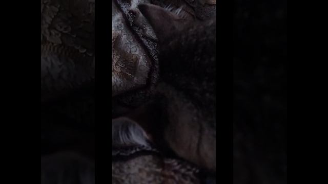 Нижний Новгород Обзор на Пиратскую жизнь Нижегородский обзорный канал смотреть онлайн