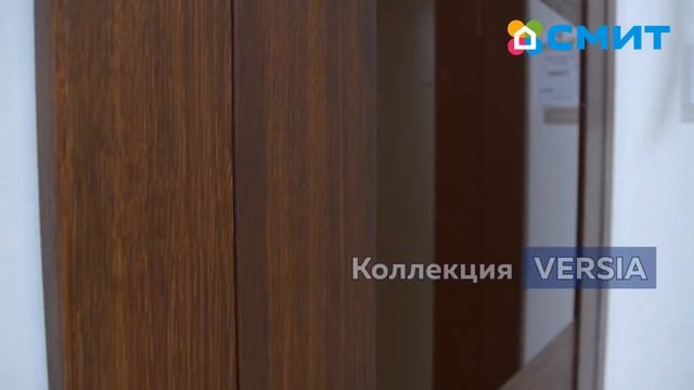 Новинка! Межкомнатная дверь STATUS 221 орех Lacobel коричневый смотреть онлайн